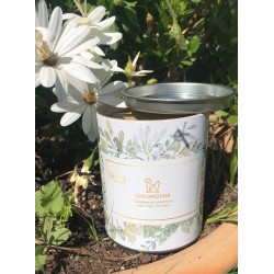 LOCOMOTION - Dogs & cats