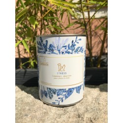 STRESS - Dogs & Cats