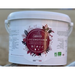 LOCOMOTION + * (competition...