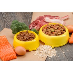 Expertise nutrition CHIENS...