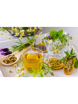TISANE