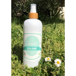 EQUI-SHINE
